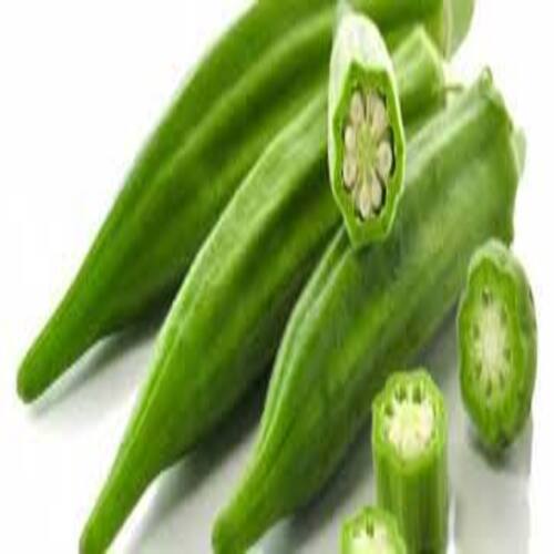 Healthy and Natural Fresh Green Okra