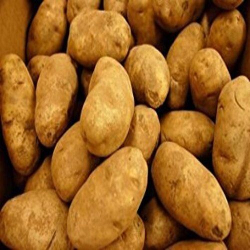 Healthy and Natural Fresh Potato