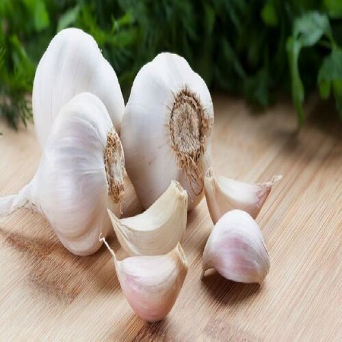 Healthy and Natural Organic White Fresh Garlic