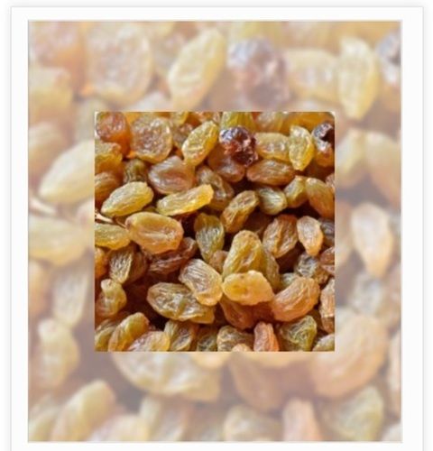 Yellow High Protein Dried Raisins