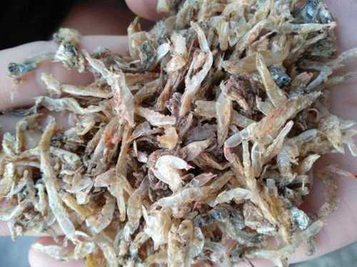 Natural Dry Jawla Fish