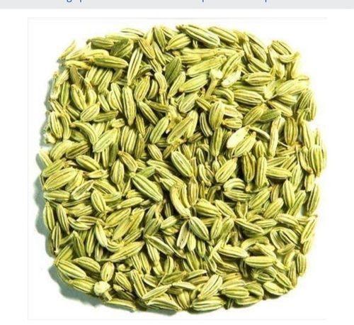 Freshness Green Fennel Seeds