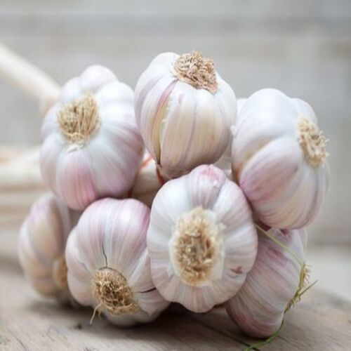 Healthy And Natural Fresh White Garlic Shelf Life: 1 Years