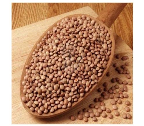 Brown High Protein Whole Masoor Dal