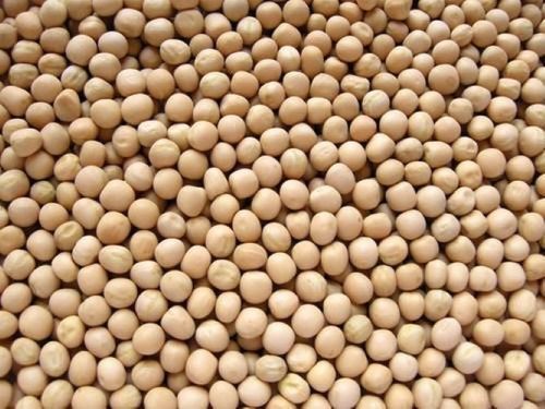 Indian Organic Dried White Peas