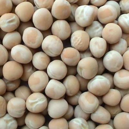 Organic Dried White Peas - Whole, 100% Natural and Hygienically Processed | High in Protein, Rich in Fiber and Antioxidants