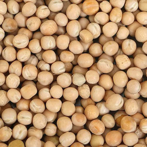 Indian Organic Dried White Peas Origin: Made In India