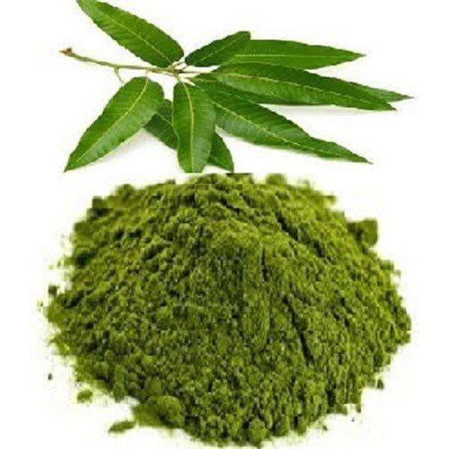 Natural Dried Mango Leaf Powder Grade: Herbal Product