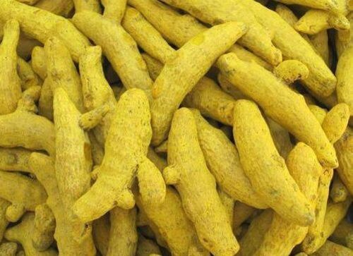 Natural Turmeric Finger For Cooking