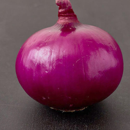 Premium Hybrid Red Onion