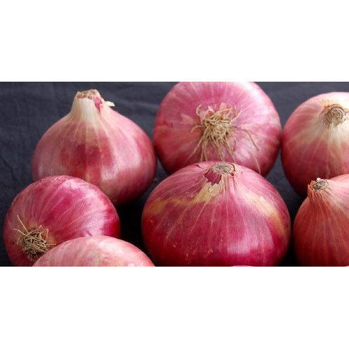 Seasoned Rich In Color Organic Red Onion