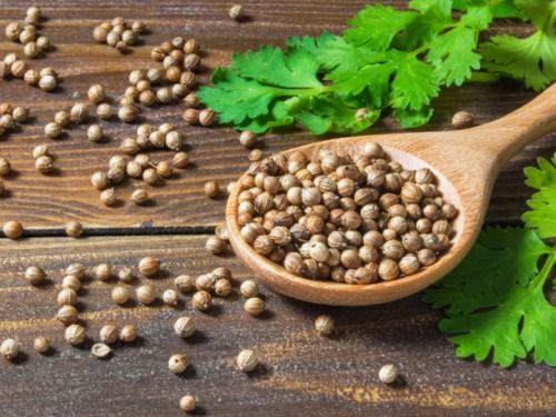 Brown Dried Coriander Seeds For Cooking