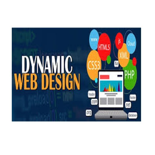 Dynamic Web Designing Services By Dexter Crew Pvt. Ltd.