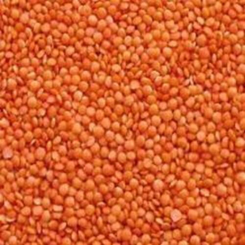 Healthy And Natural Organic Masoor Dal Grain Size: Standard