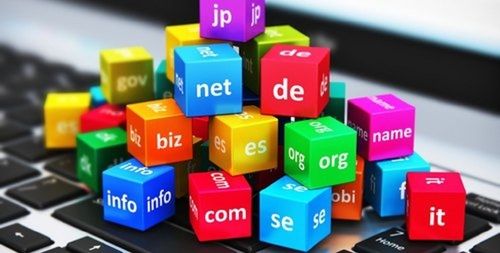 Web Domain Backordering Services