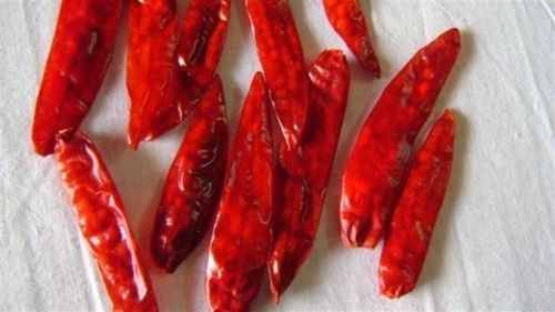 Solid Bird Eye Red Chilli