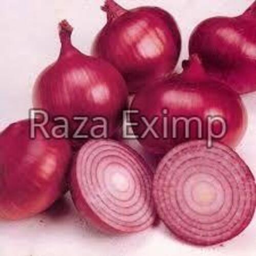 Fresh Red Onion For Cooking Preserving Compound: Cool & Dry Places