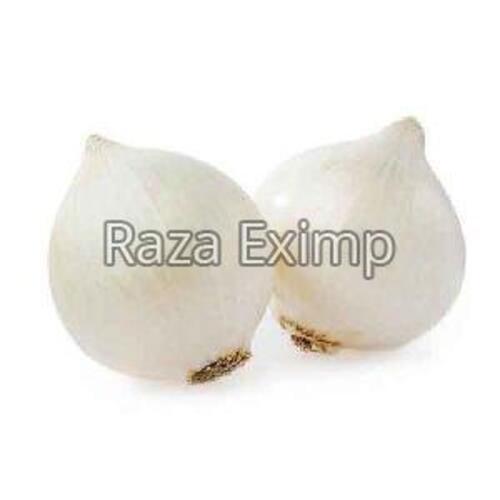 Fresh White Onion For Cooking Preserving Compound: Cool & Dry Places