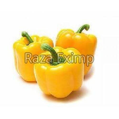 Fresh Yellow Capsicum for Cooking