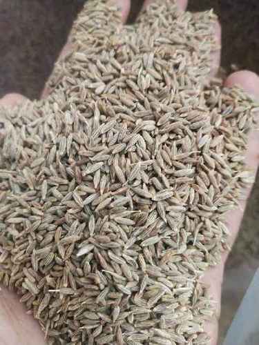 Healthy and Digestive Cumin Seeds