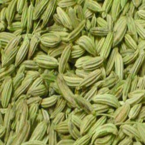 Healthy and Natural Dried Green Fennel Seeds