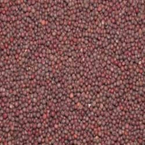 Healthy And Natural Dried Mustard Seeds Grade: Food Grade