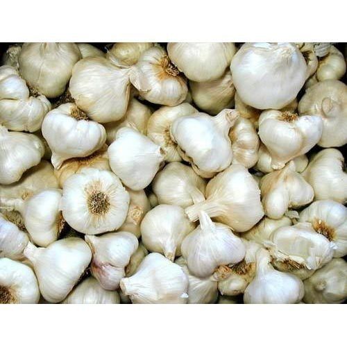 Seasoned Hygienically Cultivated Fresh Garlic