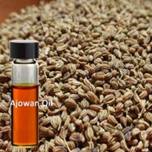 Pure And Fresh Ajwain Oil Age Group: Old Age