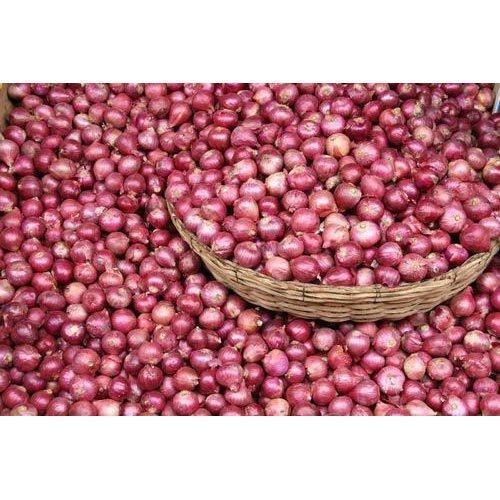 Red Color Premium Onion