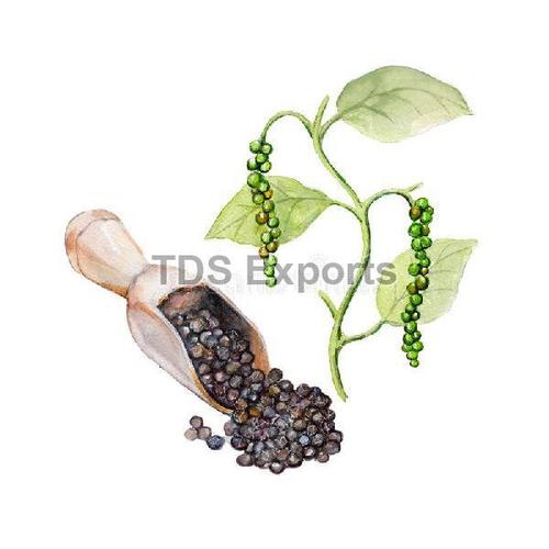 Healthy And Natural Organic Black Pepper Seeds Grade: Food Grade