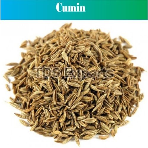 Healthy and Natural Organic Dried Cumin Seeds
