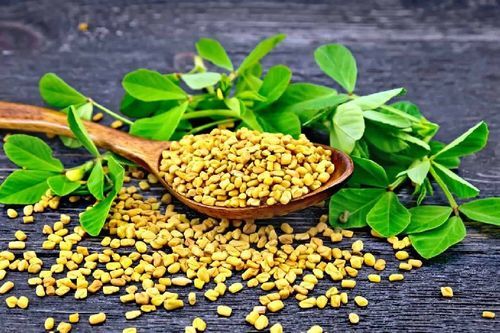 Healthy and Natural Organic Fenugreek Seeds