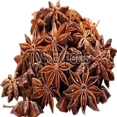 Healthy and Natural Star Anise Seeds