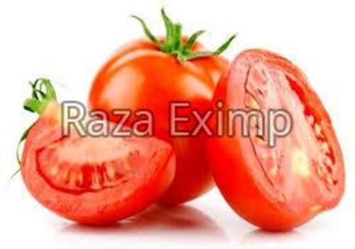 Natural Fresh Tomato for Cooking