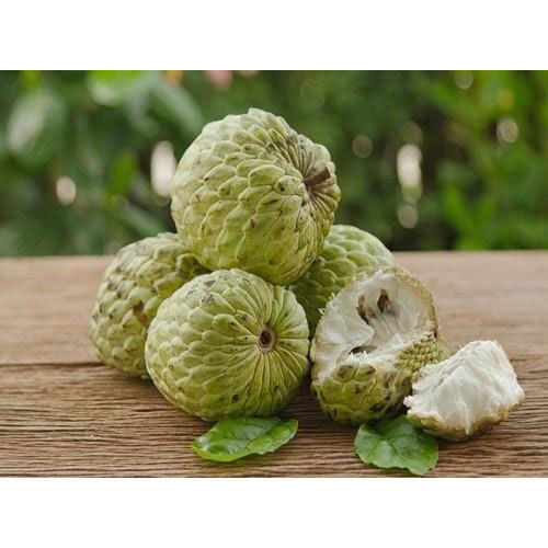 Natural Fresh Custard Apple