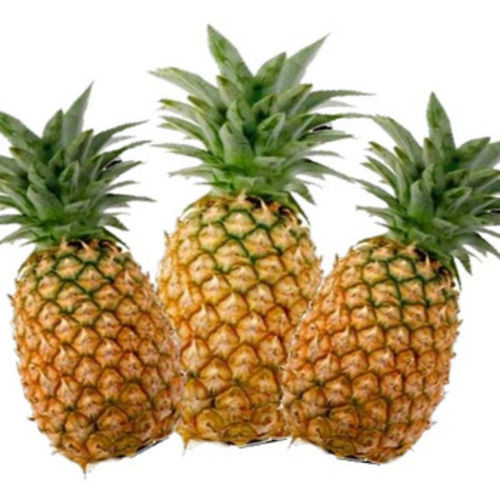 Natural Fresh Pineapple Fruits