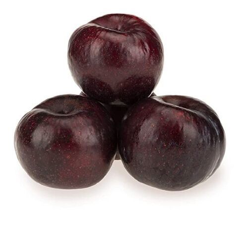 Purple Natural Fresh Plums Fruits