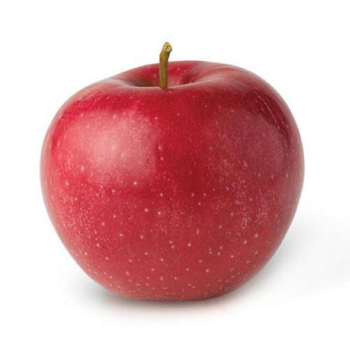 Organic Natural Fresh Red Apple