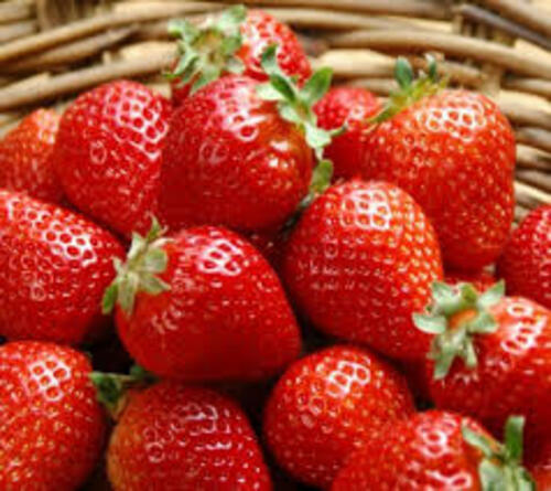 Natural Fresh Strawberry Fruits