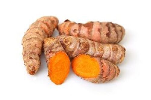 Yellow Natural Fresh Turmeric Roots