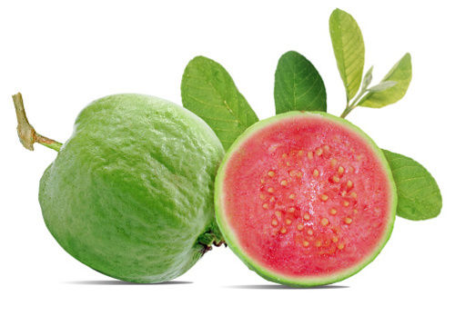 Natural Green Fresh Guava