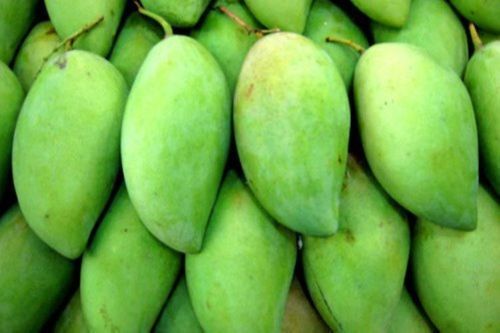 Common Natural Taste Green Mango