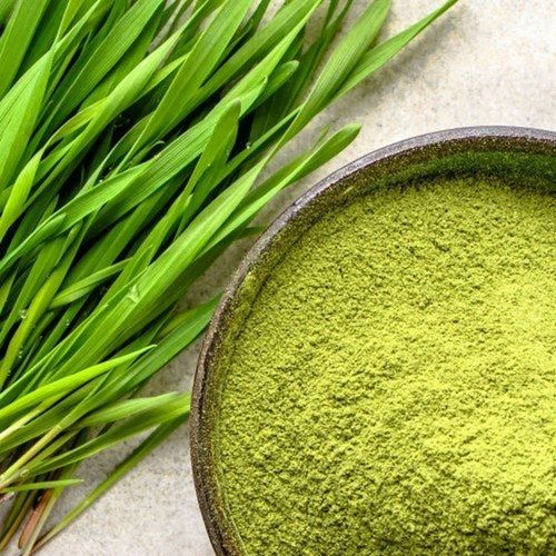 Organic Green Dried Wheatgrass Powder Ingredients: Herbal Extract