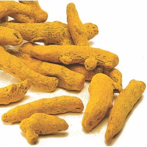 Yellow Rich In Taste Unpolished Turmeric Finger