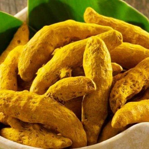 Yellow Unpolished Raw Dried Haldi Turmeric Finger