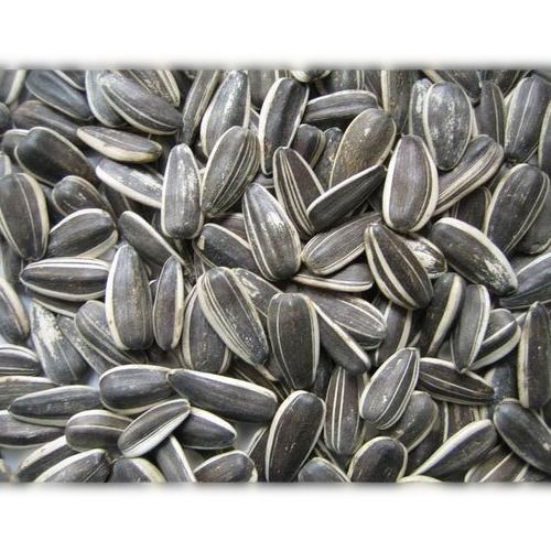 Organic Black Agricultural Dried Sunflower Seeds