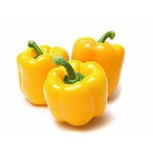 Fresh Organic Yellow Capsicum - Very Good Quality, 90% Maturity, Chopped Style for Cooking, 1-3 Day Shelf Life, Store in Cool & Dry Places