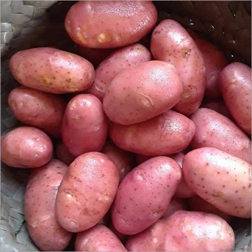 Healthy and Natural Fresh Red Potato