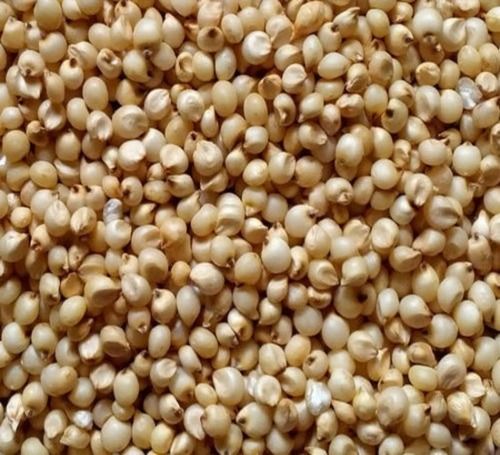 India Dried Gluten Free Whole Jowar Seed