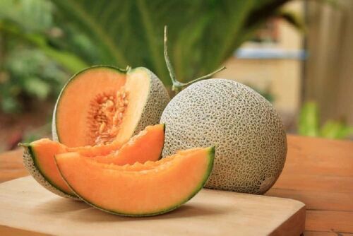 Natral Fresh Melon for Food